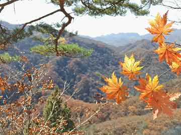 肇興鎮(zhèn)最新領導團隊介紹及其展望，肇興鎮(zhèn)領導團隊全新亮相，展望未來發(fā)展之路