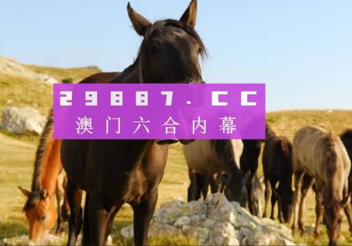 澳門管家婆一肖中特與香港阿飛免費(fèi)印刷圖庫(kù)，揭秘彩票預(yù)測(cè)與娛樂(lè)資源的新世界，澳門管家婆與香港阿飛，彩票預(yù)測(cè)與娛樂(lè)資源的新世界揭秘