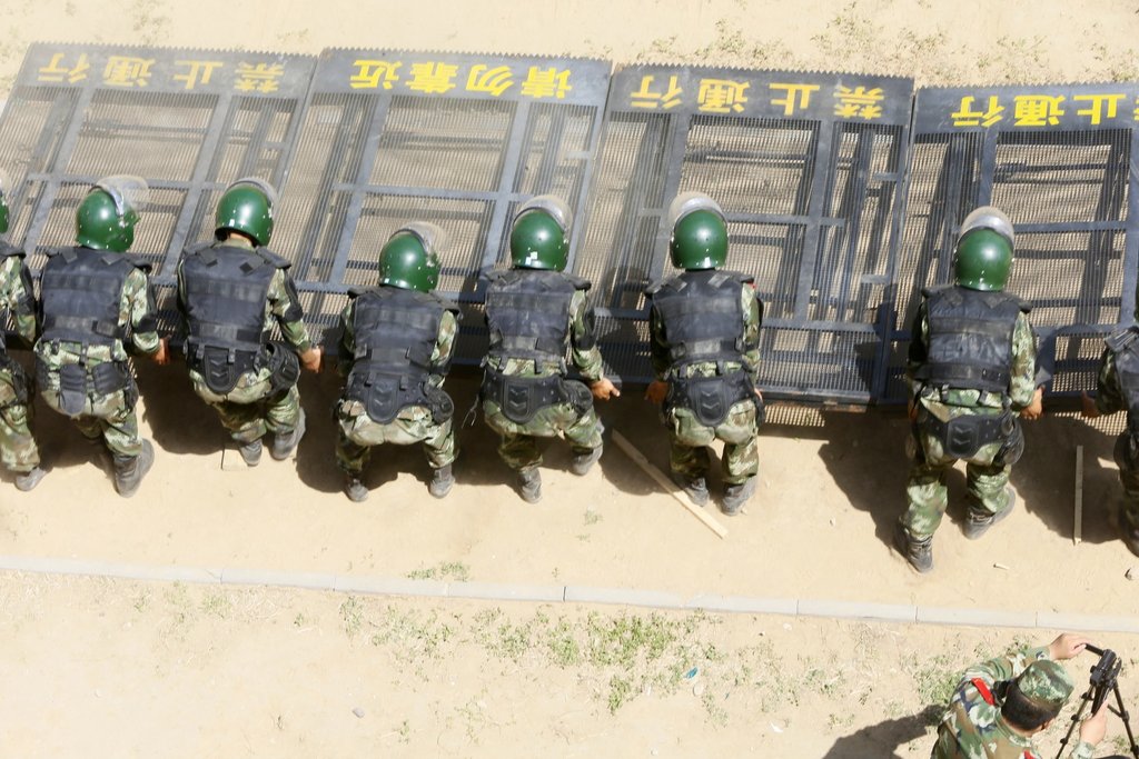 雪豹突擊隊(duì)為何調(diào)離北京，深度解析背后原因，雪豹突擊隊(duì)調(diào)離北京背后的深度解析與原因探究